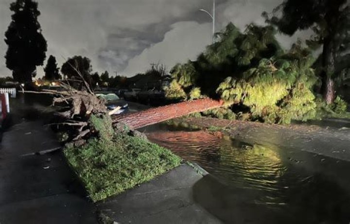 Dr. Edwin Yu, MD – Pico Rivera, CA