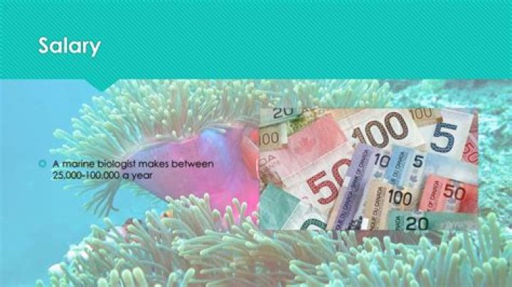 
How Much Money Does Dan Marino Make? Latest Income Salary
