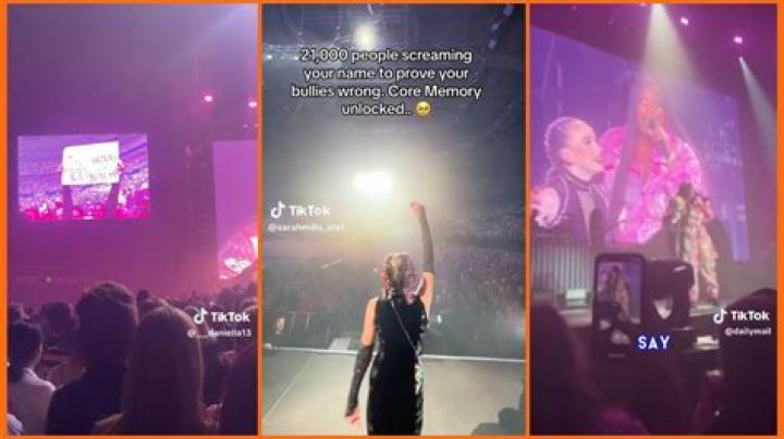 Lizzo makes a young fan’s day by inviting them on stage during concert