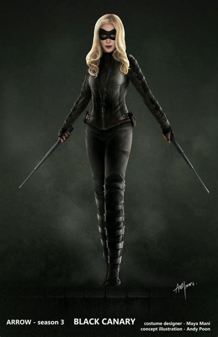 The Memory Of Black Canary Looms In Arrow Season 6 Concept Art
