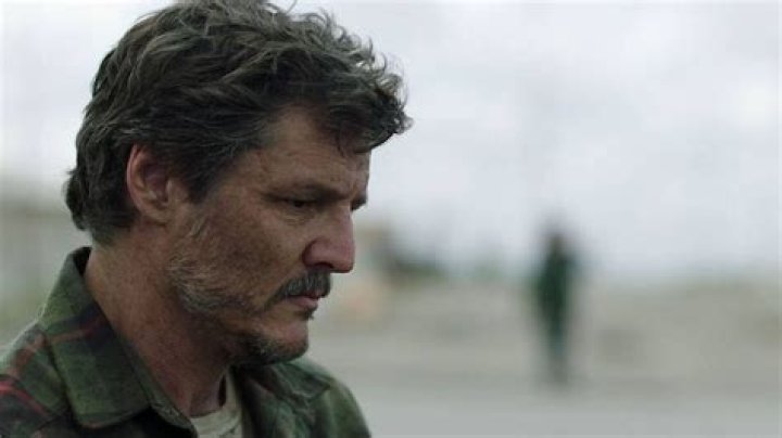 TikTok celebrates Pedro Pascal’s official status as America’s daddy