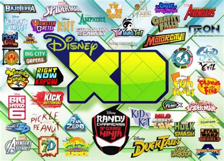 Was Disney XD for skaters? – Celebrity