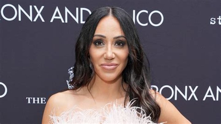 Was Melissa Gorga fired from ‘RHONJ?’