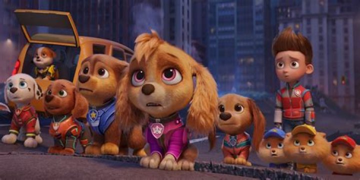 Who Is The Youngest Pup In Paw Patrol? – Celebrity